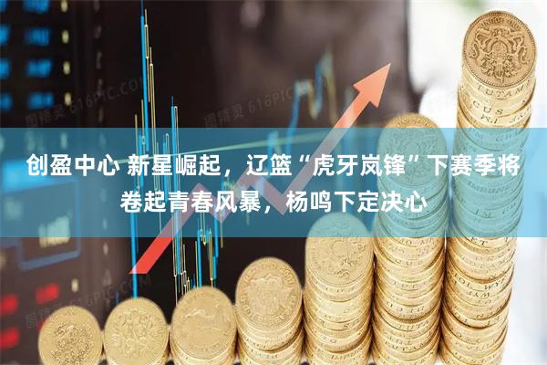 创盈中心 新星崛起，辽篮“虎牙岚锋”下赛季将卷起青春风暴，杨鸣下定决心