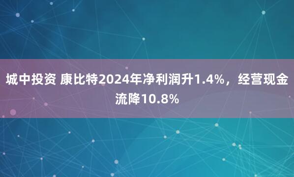 城中投资 康比特2024年净利润升1.4%，经营现金流降10.8%