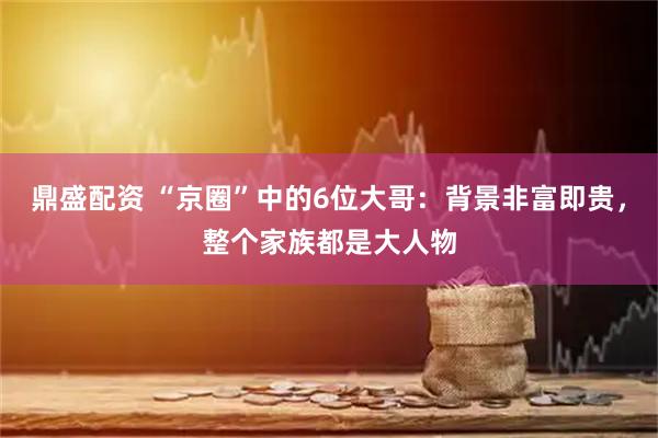 鼎盛配资 “京圈”中的6位大哥:背景非富即贵,整个家族都是大人物